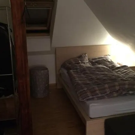 Exclusive Apartment Dresden * ドレスデン