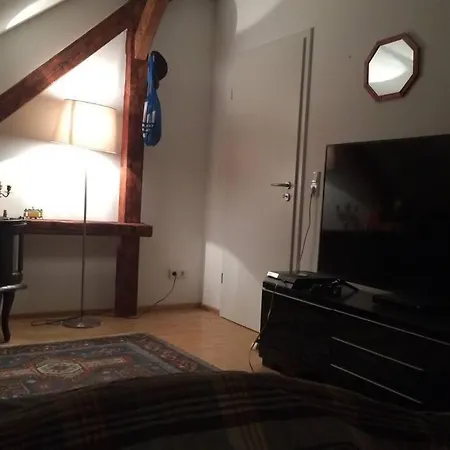Exclusive Apartment Dresden 公寓 德累斯顿
